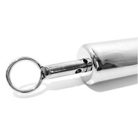 Rouge Stainless Steel Ice Lock for Bondage Fun