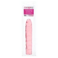 Translucence Junior Dong - Sensational Experience