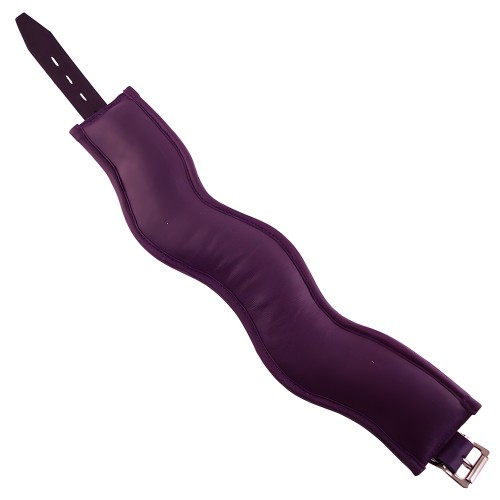 Padded Posture Collar - Purple - 16.5 Inches