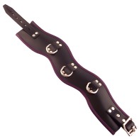 Collar Postural Acolchado - Negro y Púrpura - 16.5 Pulgadas