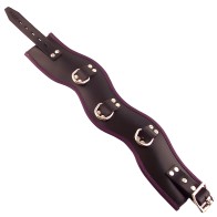 Collar Postural Acolchado - Negro y Púrpura - 16.5 Pulgadas