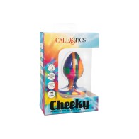 Plug Anal Cheeky Swirl Medium Tie Dye