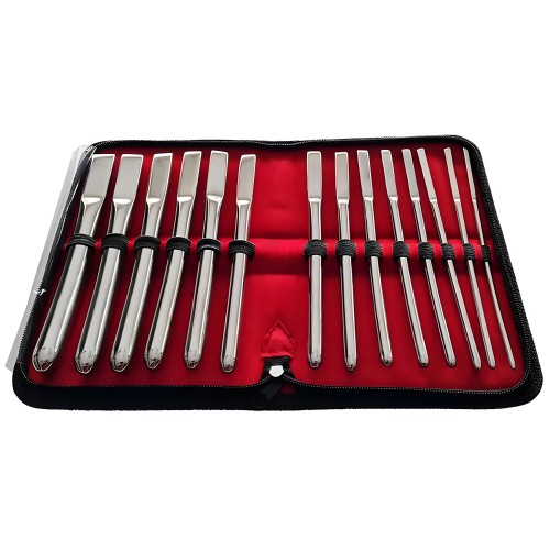 Juego de 14 Dilatadores Uterinos Hegar de Rouge Garments
