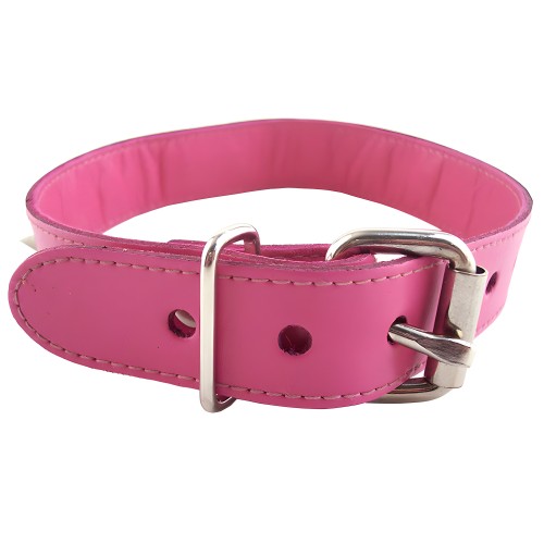 Rouge Garments Pink Studded O-Ring Collar - Fashionable BDSM