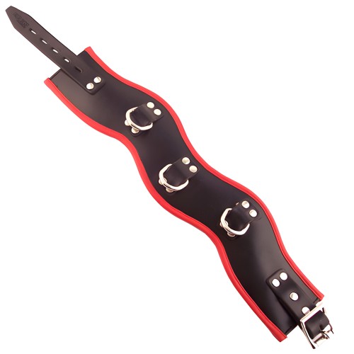 Padded Posture Collar - Rouge Garments - Red