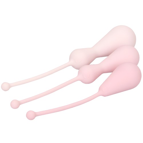 Inspire Weighted Silicone Kegel Training Kit