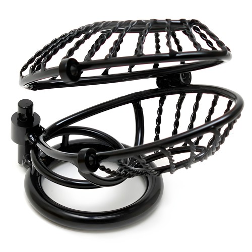 Metal Male Chastity Device with Padlocks