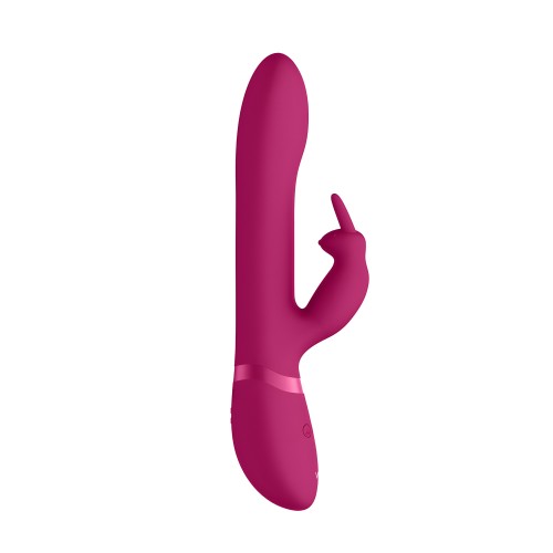 Vive Amoris Pink Rabbit Vibrator