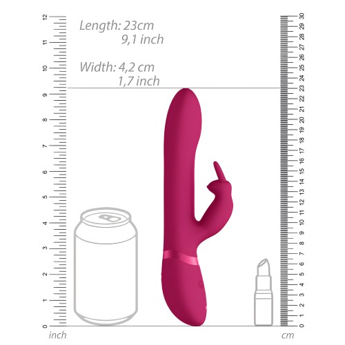 Vive Amoris Pink Rabbit Vibrator