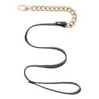 Taboom Dona Statement Leash - BDSM Accessory