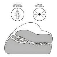 Lovetoy Streetgirls Number 3 Masturbator - Flesh Pink