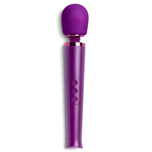 Le Wand Petite Vibrating Massager - Purple